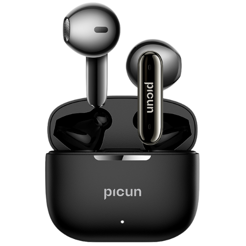 Picun A2